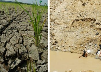 Kemarau Berkepanjangan, Tambang Jadi Pilihan Petani Mencari Rezeki