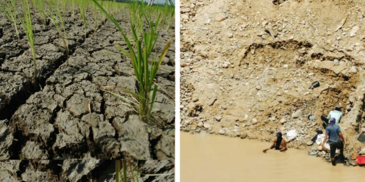 Kemarau Berkepanjangan, Tambang Jadi Pilihan Petani Mencari Rezeki