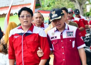 Mengulang Kembali Pemerintahan SYAH, Perpaduan Politisi – Birokrat Di Pilkada 2024