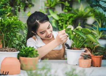 Berkebun untuk Generasi Z: Aktivitas Menyehatkan yang Mengurangi Stres, Kecemasan, dan Depresi