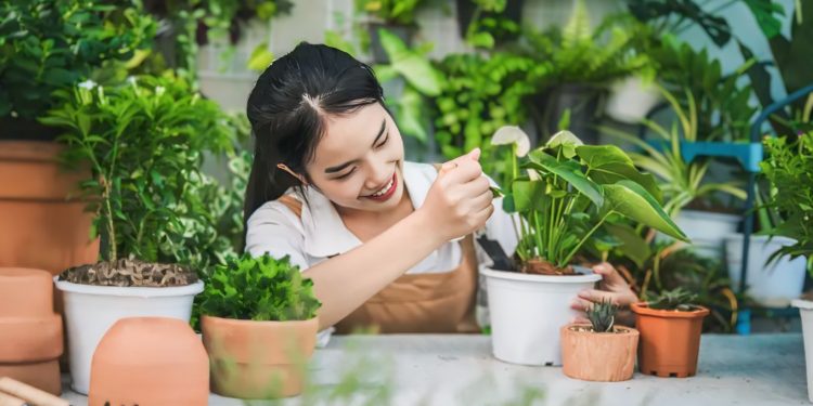 Berkebun untuk Generasi Z: Aktivitas Menyehatkan yang Mengurangi Stres, Kecemasan, dan Depresi