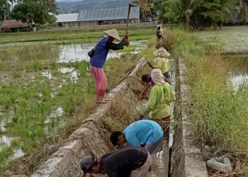Dana Hilirisasi Penambang Dirasakan Petani