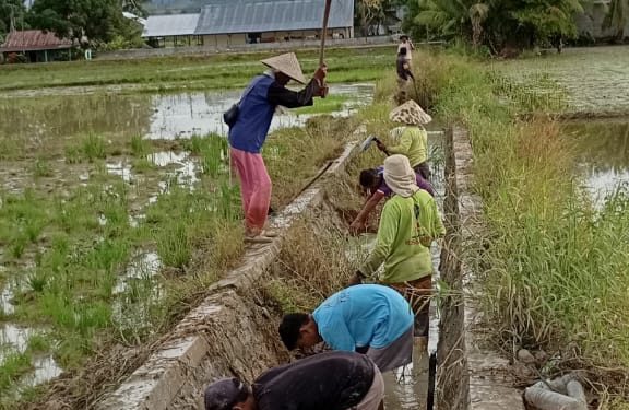 Dana Hilirisasi Penambang Dirasakan Petani
