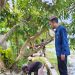 Program Hilirisasi Pertambangan Bukan Sekedar Opini, Petani Di Pohuwato Dapat Berkah Jelang Ramadhan