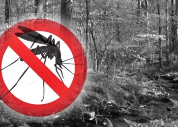 Bersama Pemerintah,Penambang Siap Basmi Malaria