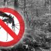 Bersama Pemerintah,Penambang Siap Basmi Malaria