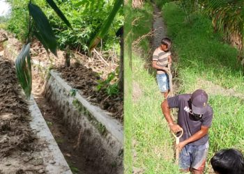 Pasca Panen, Rakyat Penambang Kolaborasi Bersama Petani Bersihkan Sedimen Di 1,2 KM Saluran Drainase Kecamatan Paguat