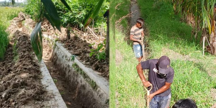 Pasca Panen, Rakyat Penambang Kolaborasi Bersama Petani Bersihkan Sedimen Di 1,2 KM Saluran Drainase Kecamatan Paguat