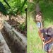Pasca Panen, Rakyat Penambang Kolaborasi Bersama Petani Bersihkan Sedimen Di 1,2 KM Saluran Drainase Kecamatan Paguat