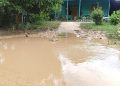 Akibat Pertambangan Teratai, Lumpur Penuh Di Saluran Irigasi,Warga Minta Perhatian Pemda Pohuwato