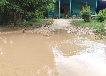 Akibat Pertambangan Teratai, Lumpur Penuh Di Saluran Irigasi,Warga Minta Perhatian Pemda Pohuwato
