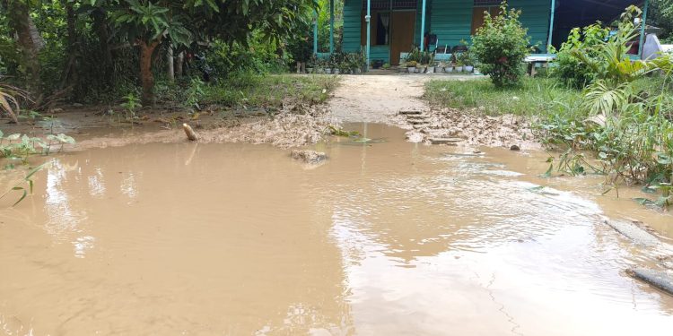 Akibat Pertambangan Teratai, Lumpur Penuh Di Saluran Irigasi,Warga Minta Perhatian Pemda Pohuwato