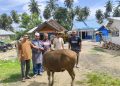 YR TIM Salurkan Hewan Qurban Untuk Petani Sawah Di Duhiadaa
