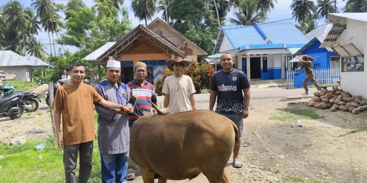 YR TIM Salurkan Hewan Qurban Untuk Petani Sawah Di Duhiadaa