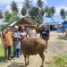 YR TIM Salurkan Hewan Qurban Untuk Petani Sawah Di Duhiadaa
