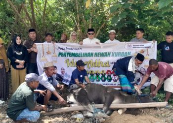 DPRD Pohuwato Tebar Semangat Berbagi, Empat Ekor Sapi Kurban Disembelih pada Idul Adha 1447 H