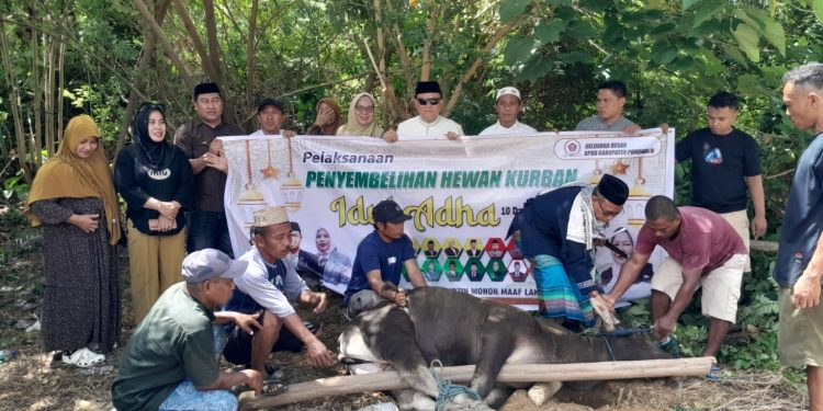 DPRD Pohuwato Tebar Semangat Berbagi, Empat Ekor Sapi Kurban Disembelih pada Idul Adha 1447 H
