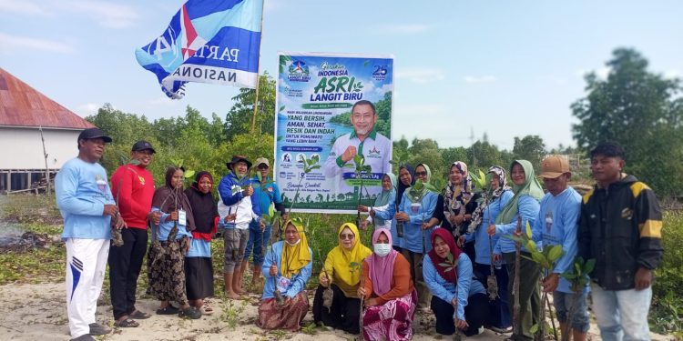 HUT Ke-25 Partai Demokrat,DPC Pohuwato Tanam Mangrove,Lepas Penyu Dan Bersih – Bersih Pantai